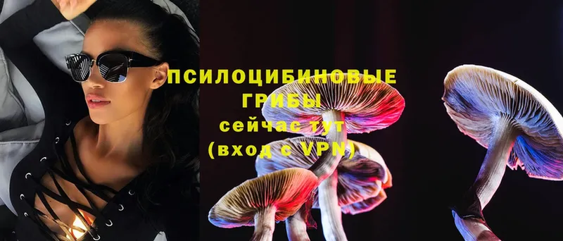 купить закладку  Борисоглебск  Псилоцибиновые грибы Psilocybe 